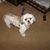 Patricia Dressler's profile image