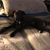 Chrissy Copeland-Gagne's profile image