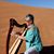 Ruthann Ritchie's profile image