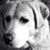 Sandy Stockey's profile image