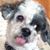 Julie Blanch's profile image