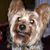 Jana Brinkley Carroll's profile image