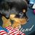 Joe Davis's profile image