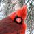 Hester Fuller's profile image