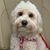 Karen Franklin's profile image