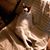 Karen Pinkston Holderfield's profile image