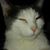 Lawrence Meader's profile image