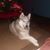 Patty Ballester's profile image