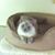 Beth Myers Warren's profile image