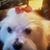 Debbie Anderson's profile image