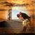Christopher Fetter's profile image