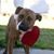 Janet Marie Choate's profile image