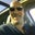 Stephen Picardi's profile image