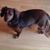 Maurine Luetkens Bellin's profile image