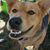 Zander Chloe's profile image