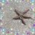Dawn Funk's profile image