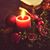 Tracy Nevel Evans's profile image