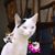 Boogie Beads's profile image