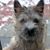 Joanne Gordon's profile image