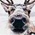Amanda Johnson-Simmerman's profile image