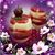 Barbara Nowak's profile image