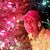 Laura Dodgen's profile image