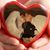 Diana Tadlock's profile image