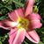 Joan Colvin's profile image