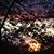 Judy Casteel's profile image