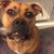 Malessa Johnson's profile image