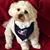 Chris Carter's profile image