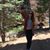 Sierra Mark's profile image