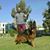 Ali Ashor's profile image