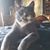 Amy Hopkins Nadicksbernd's profile image