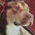 Tim Lavin's profile image