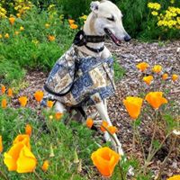 Mike Stroud's profile image