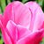 Mely Gonzales's profile image
