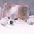 Reba Moore's profile image
