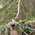 Carly Hurtt's profile image