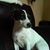 Mark A Tomczak's profile image