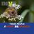 Michelle M Larmon's profile image