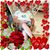 Paula Torres's profile image