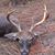 C.j. Townsend's profile image