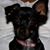 Wanda M Turnage's profile image