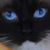Bette Willette's profile image