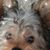 Barbara Waters Capshaw's profile image