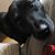 Lori Scheuermann's profile image