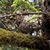 Roy Claassen's profile image
