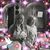 Janet Caulfield's profile image