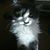 Susie Regalado-Savala's profile image